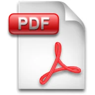 pdf ico