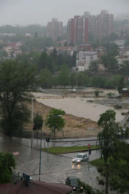 poplavarakovica