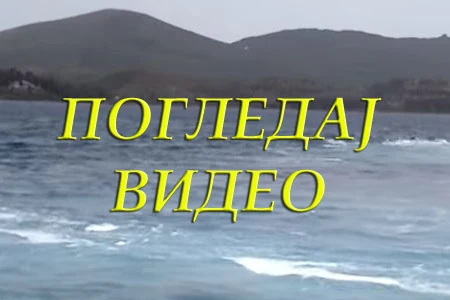 videoletovanje2015