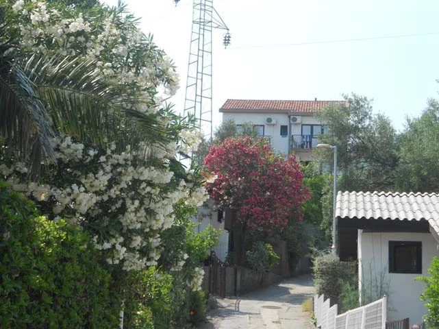 Летовање 2012. — фотографија 30